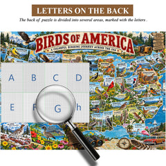 Birds of America Jigsaw Puzzle 1000 Pieces