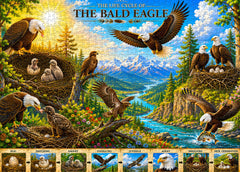 Eagle Life Cycle Jigsaw Puzzle 1000 Pieces