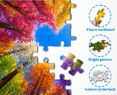 Rainbow Forest Jigsaw Puzzle 1000 Pieces