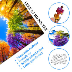 Rainbow Forest Jigsaw Puzzle 1000 Pieces