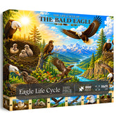 Puzzle de 1000 pièces Cycle de vie de l’aigle