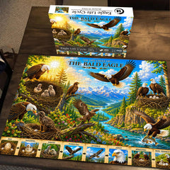 Eagle Life Cycle Jigsaw Puzzle 1000 Pieces