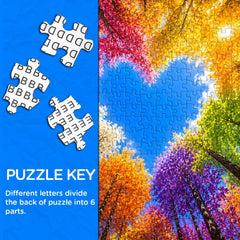 Rainbow Forest Jigsaw Puzzle 1000 Pieces
