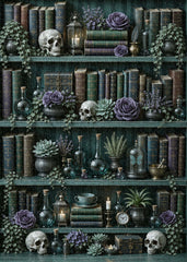 Gothic Magic Bookshelf Jigsaw Puzzle 1000 Piece