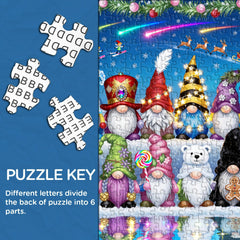 Starlit Gnome Parade Jigsaw Puzzle 1000 Pieces