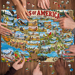 Birds of America Jigsaw Puzzle 1000 Pieces