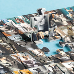 1000 Teile Puzzle „Kackende Hunde“