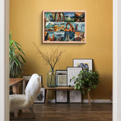 Puzzle Jigsaw de 1000 pièces des Parcs Nationaux des Chats