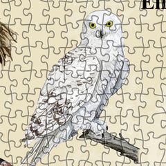 Puzzle en bois vintage de hibou nord-américain 1000 pièces