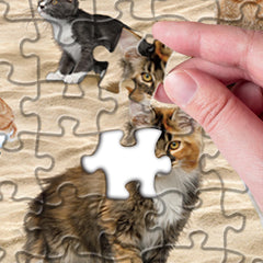 Puzzle „Kackende Katze am Strand“ (1000 Teile)