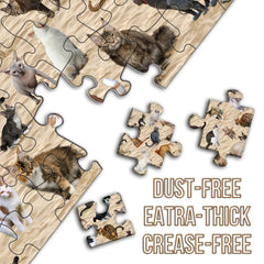 Puzzle „Kackende Katze am Strand“ (1000 Teile)