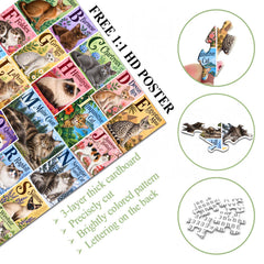 Alphabet Cats Jigsaw Puzzle 1000 Piece