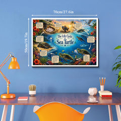 Sea Turtle Life Journey Jigsaw Puzzle 1000 Pieces