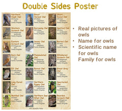 Puzzle en bois vintage de hibou nord-américain 1000 pièces