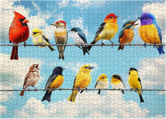 Puzzle d'oiseaux de joie 1000 pièces