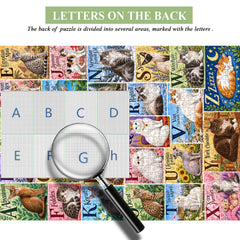 Alphabet Cats Jigsaw Puzzle 1000 Piece