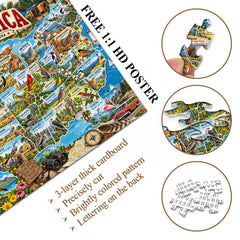 Birds of America Jigsaw Puzzle 1000 Pieces