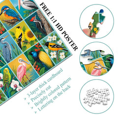 Bird Gallery Jigsaw Puzzle 1000 Piece