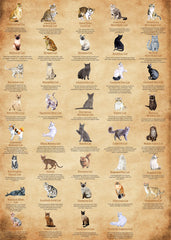 Le puzzle en bois de 1000 pièces le plus mignon avec des chats