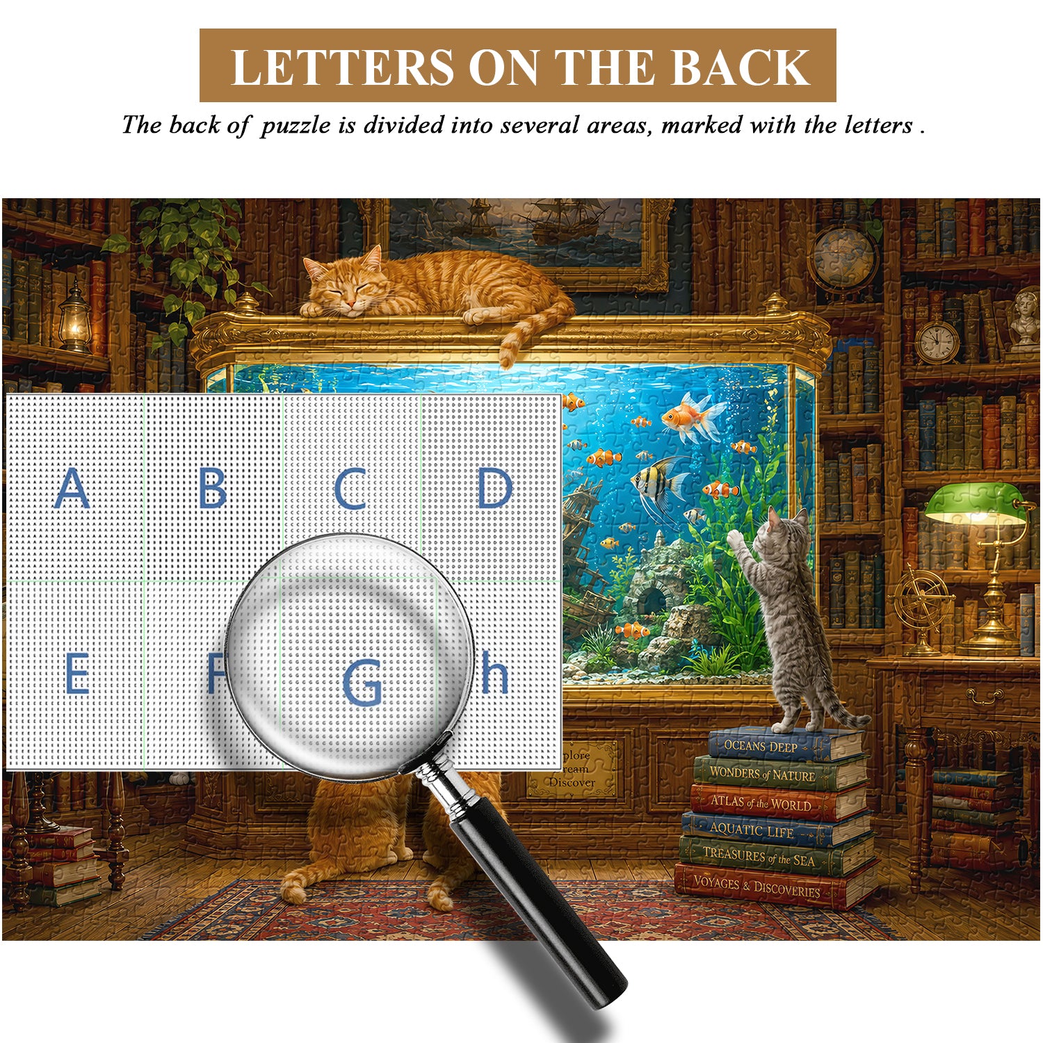 Ocean Tales Library Jigsaw Puzzle 1000 Piece