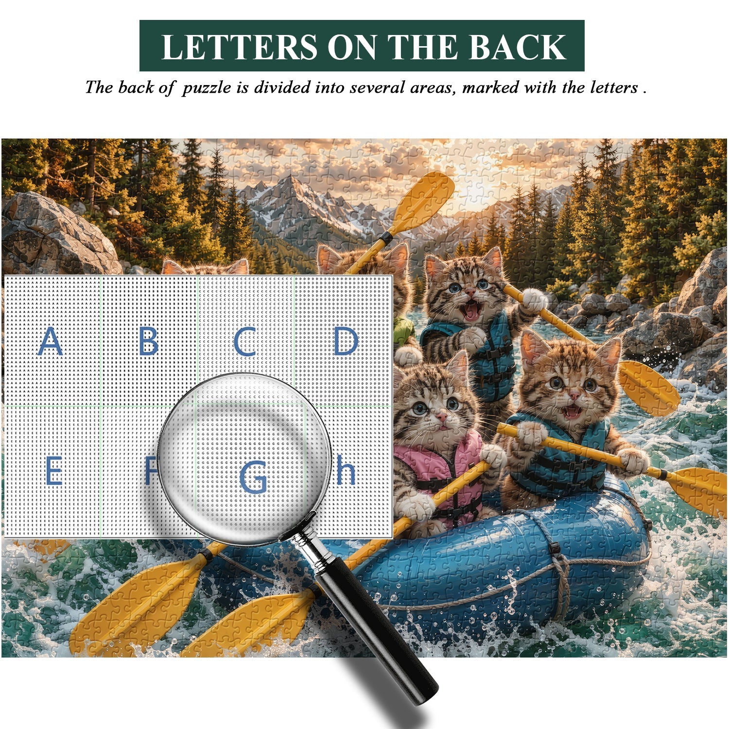 Rafting Kittens Jigsaw Puzzle 1000 Piece