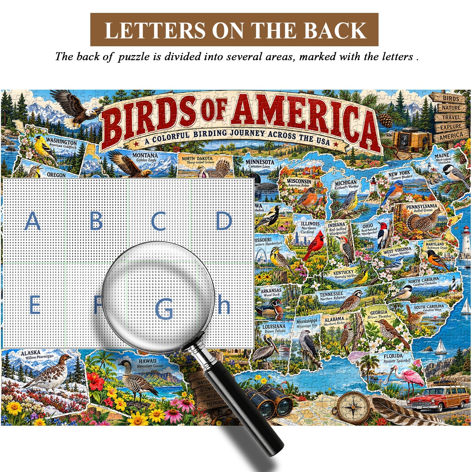 Birds of America Jigsaw Puzzle 1000 Pieces
