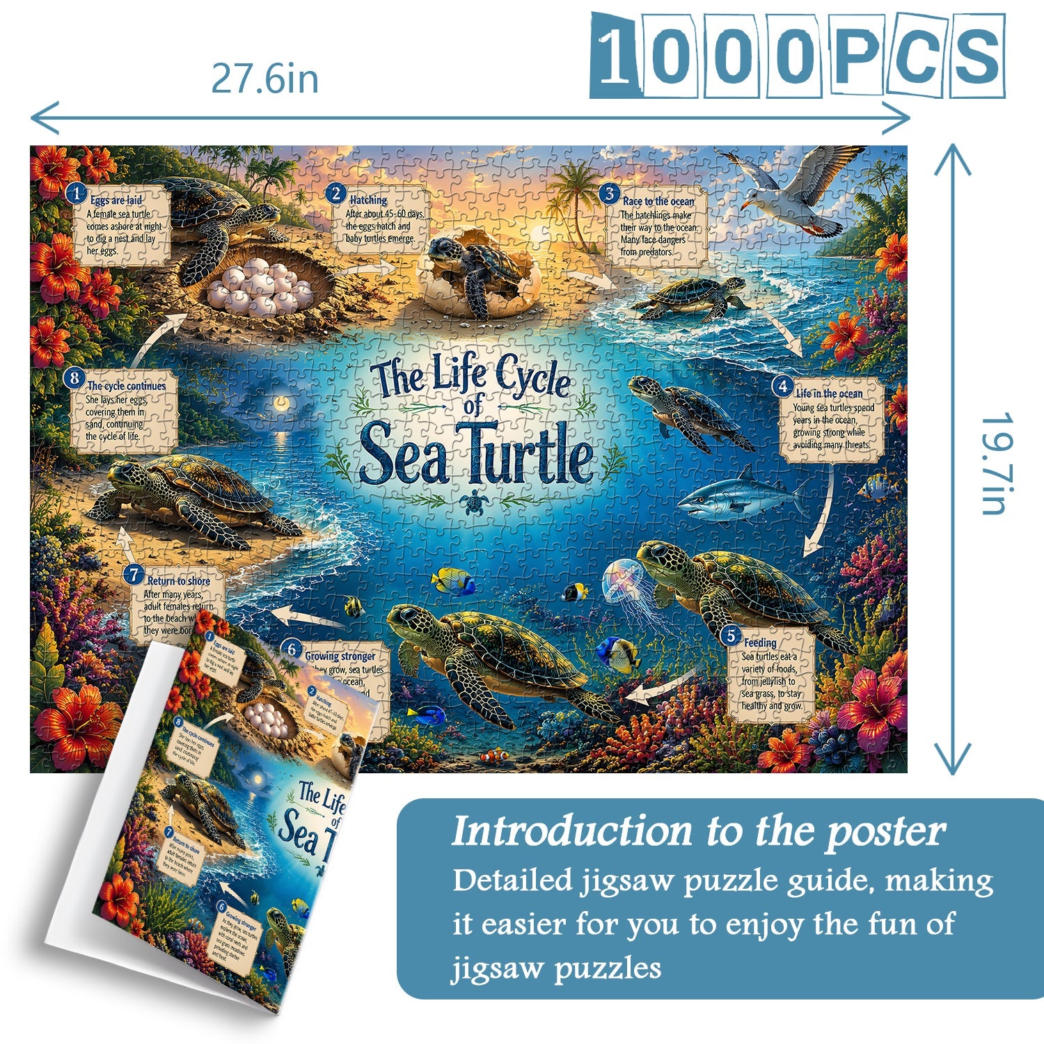 Sea Turtle Life Journey Jigsaw Puzzle 1000 Pieces