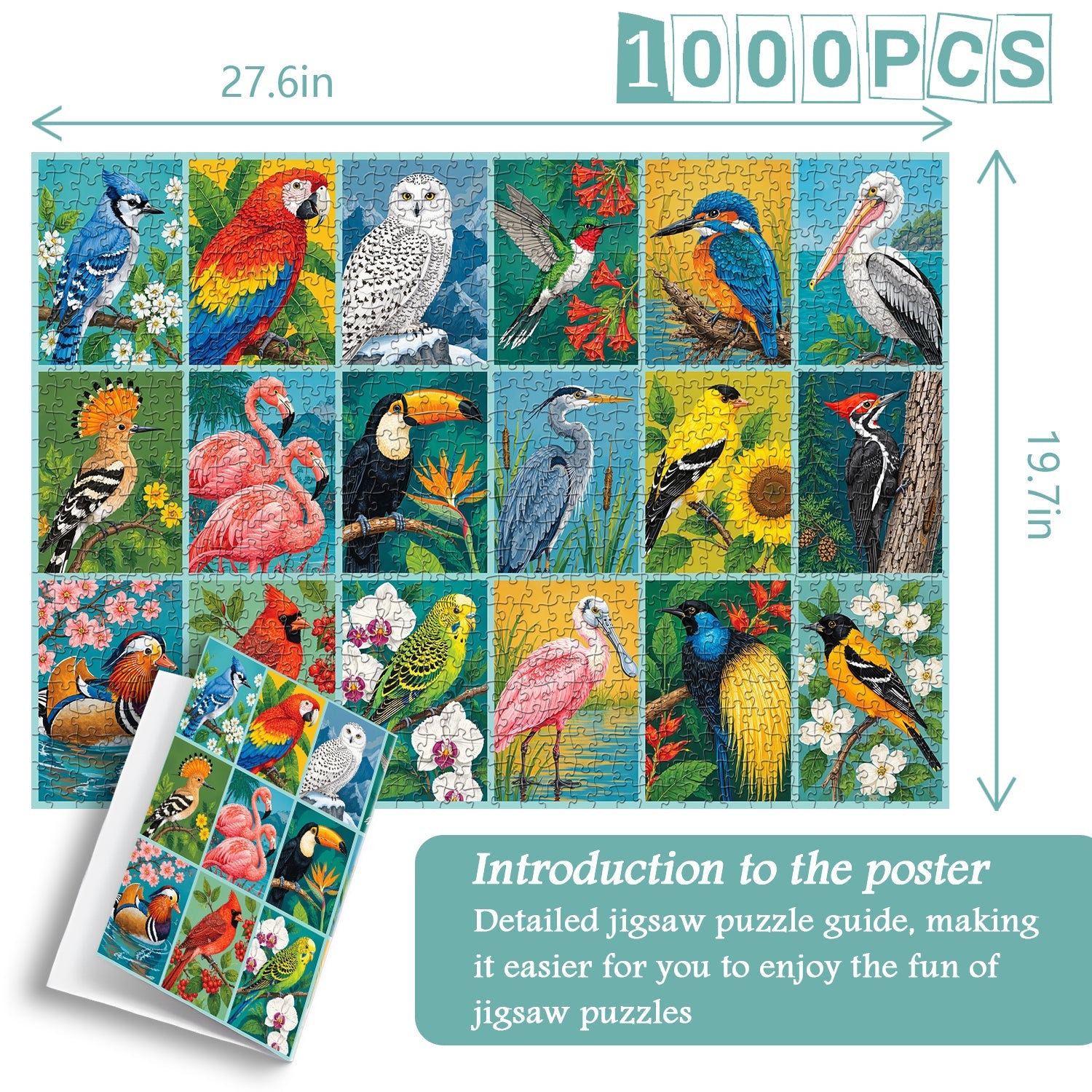 Bird Gallery Jigsaw Puzzle 1000 Piece