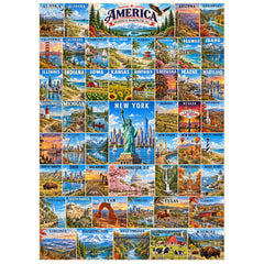 50 States & Washington, D.C Jigsaw Puzzle 1000 Piece