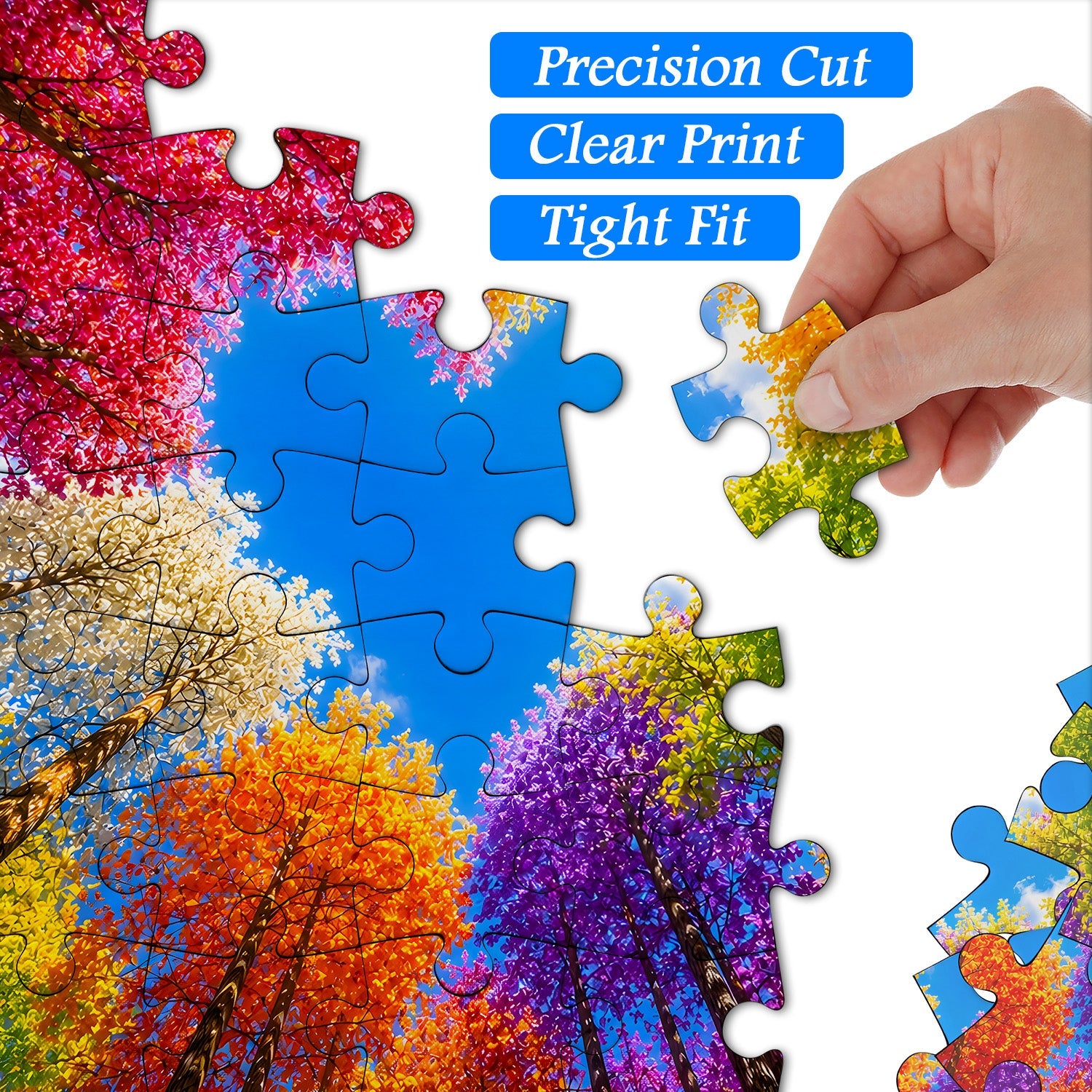 Rainbow Forest Jigsaw Puzzle 1000 Pieces