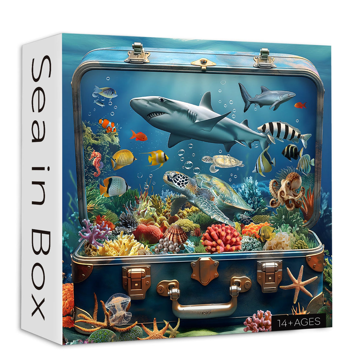Sea in Box Jigsaw Puzzle 1000 Piece