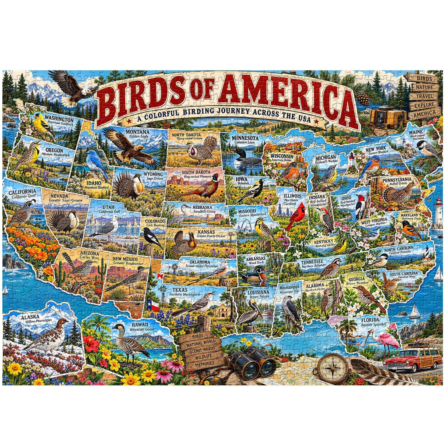 Birds of America Jigsaw Puzzle 1000 Pieces