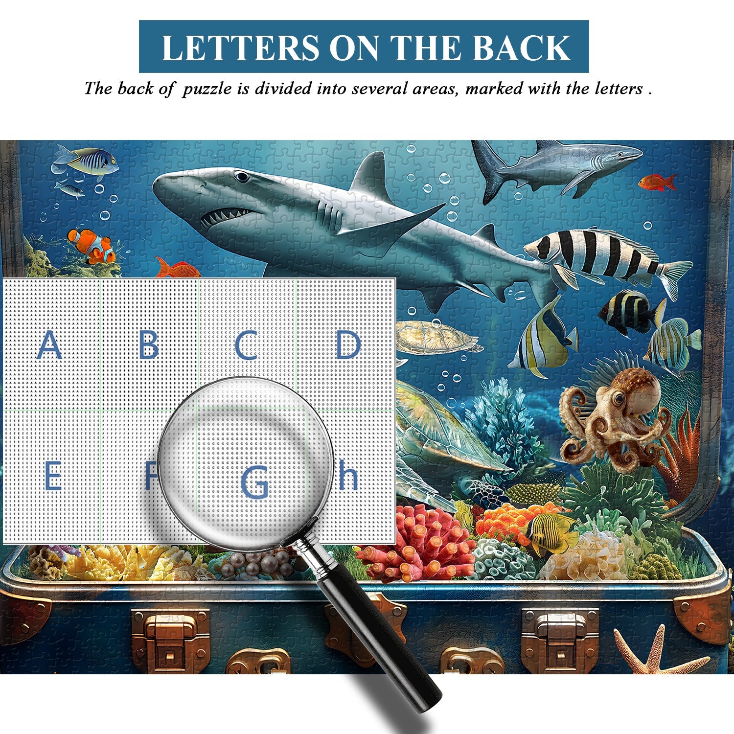 Sea in Box Jigsaw Puzzle 1000 Piece