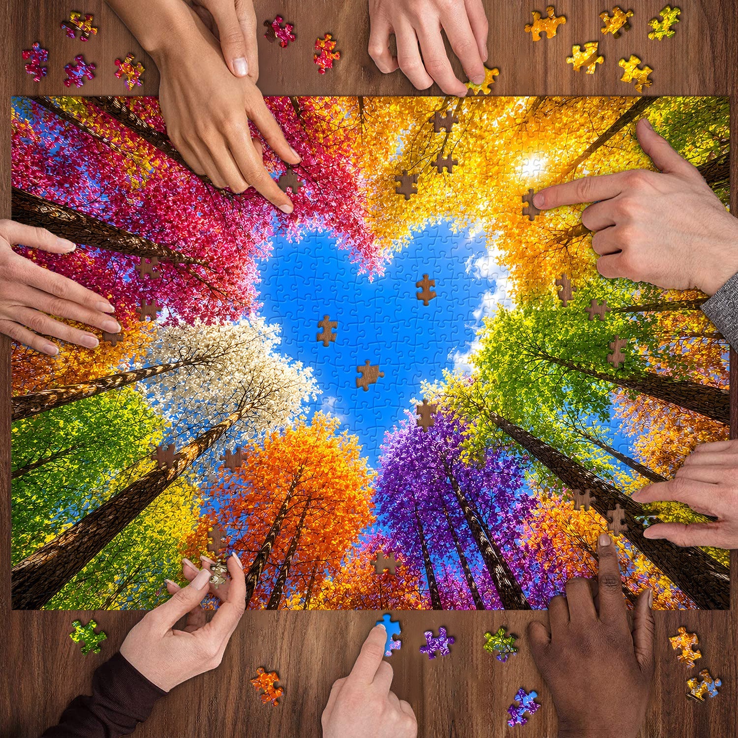 Rainbow Forest Jigsaw Puzzle 1000 Pieces