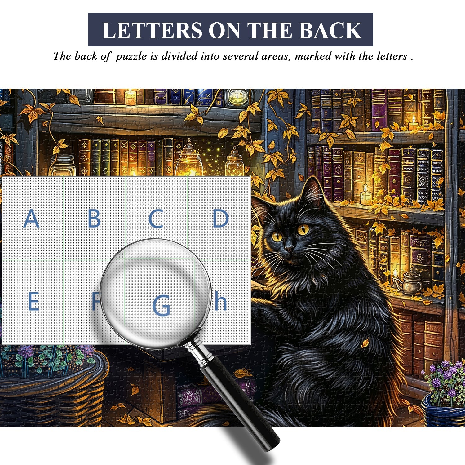 Nocturnal Scholar Jigsaw Puzzle 1000 Piece