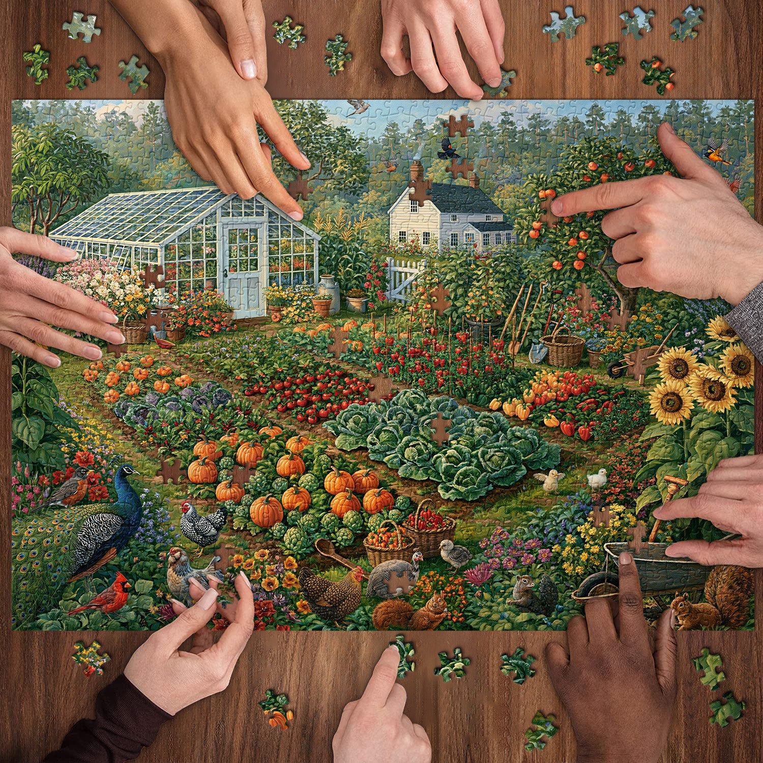 Fruitful Yard Jigsaw Puzzle 1000 Pieces