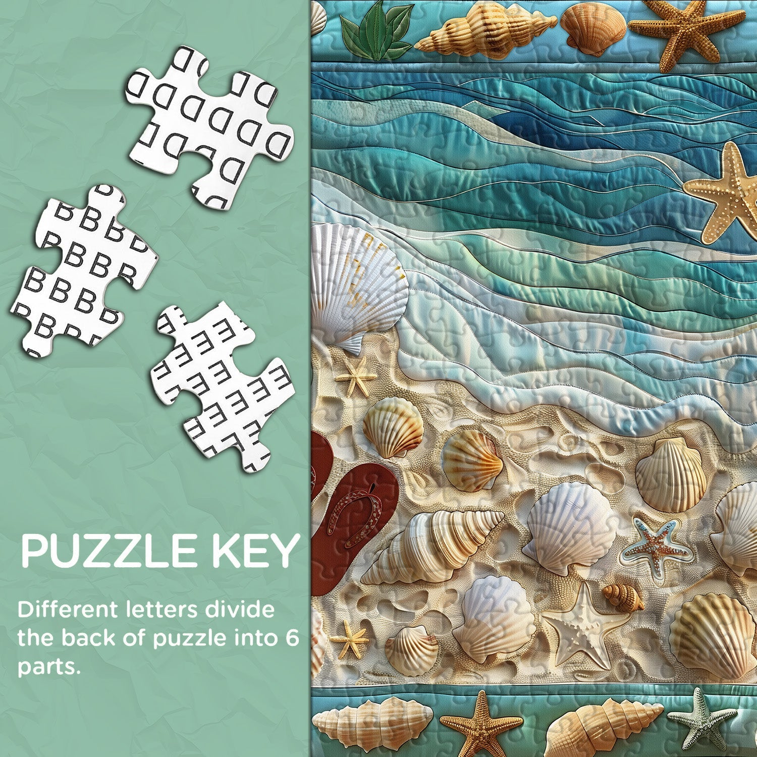 Seashell Beach Jigsaw Puzzle 1000 Piece