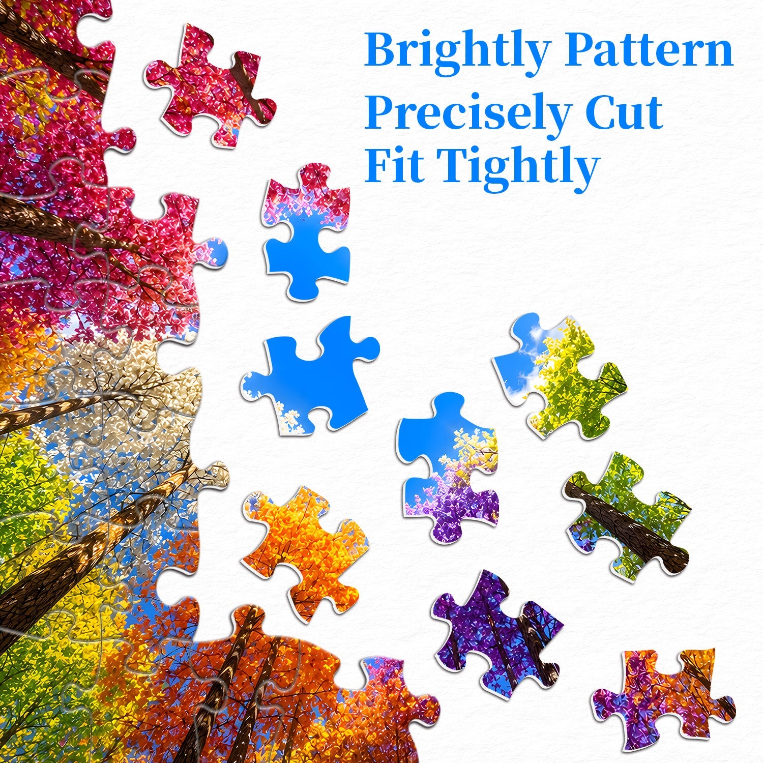 Rainbow Forest Jigsaw Puzzle 1000 Pieces