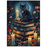 Mystic Cat And Magic Books Jigsaw Puzzle 1000 Pieces