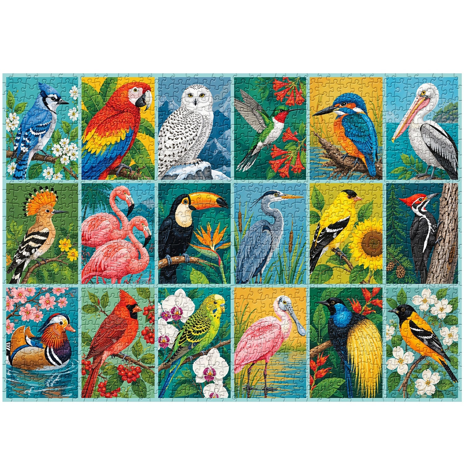 Bird Gallery Jigsaw Puzzle 1000 Piece