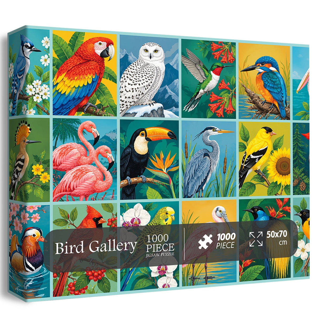 Bird Gallery Jigsaw Puzzle 1000 Piece