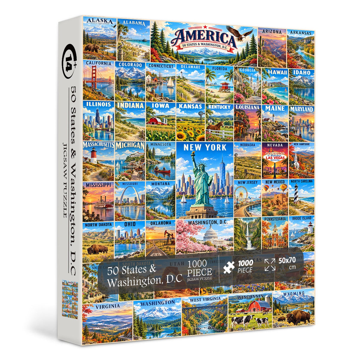 50 States & Washington, D.C Jigsaw Puzzle 1000 Piece