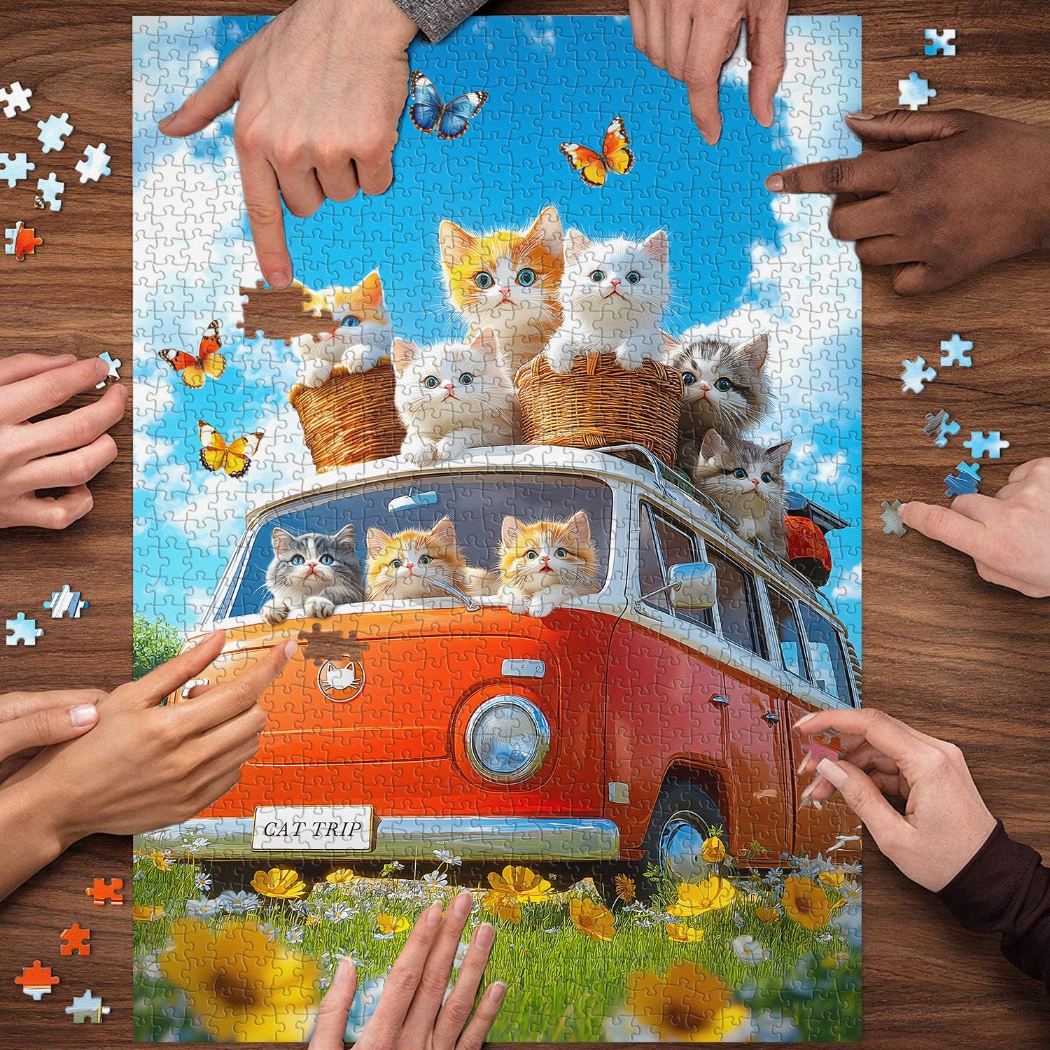 Puzzle 1000 Pièces — Chat en Balade au Soleil