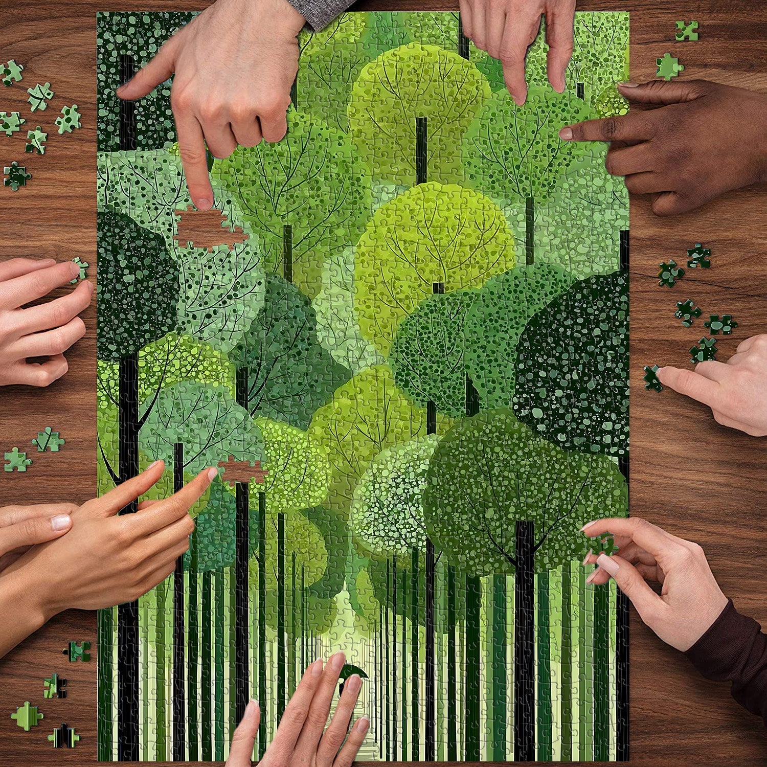Puzzle 1000 pièces Sentier verdoyant