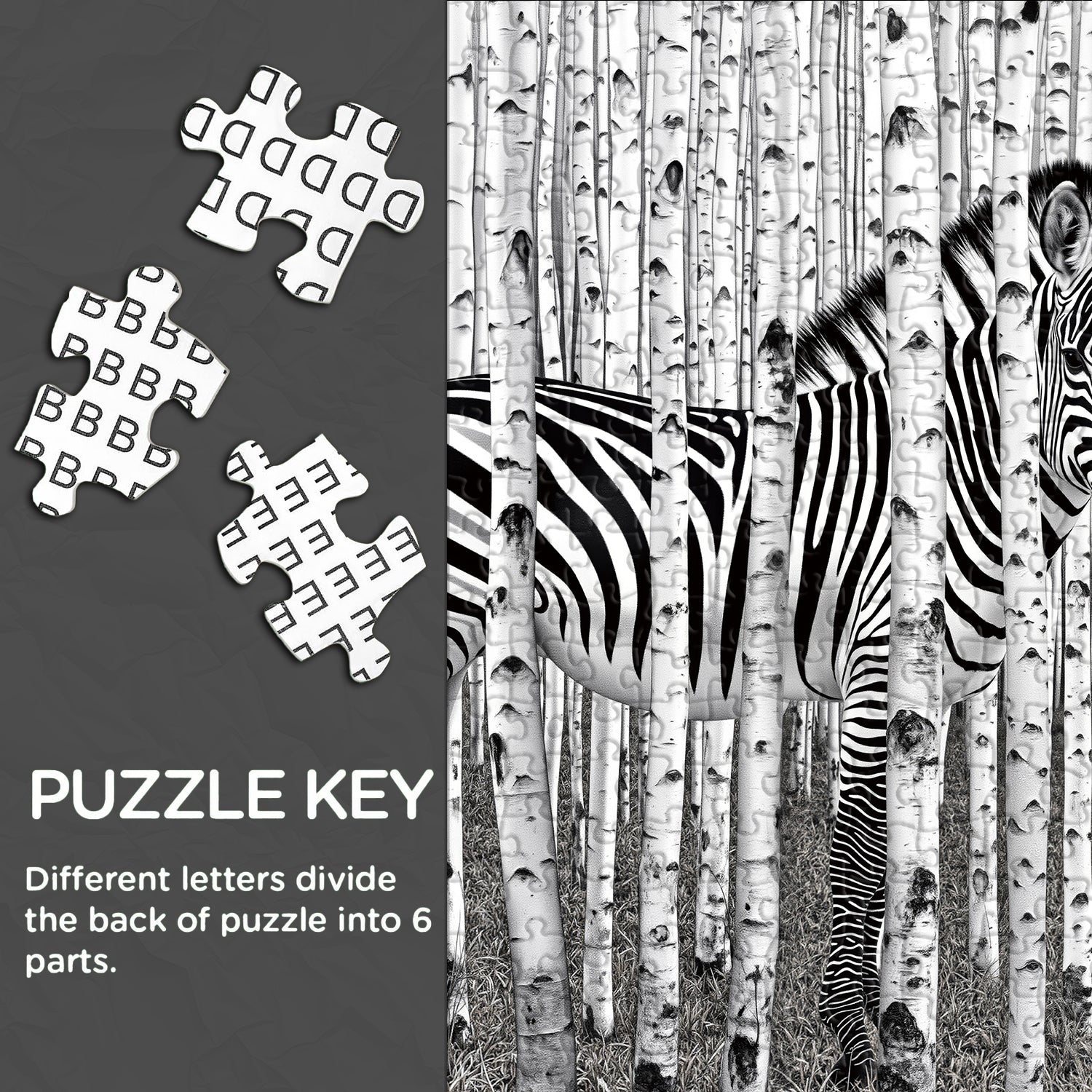 Zebra Forest Jigsaw Puzzle 1000 Pieces