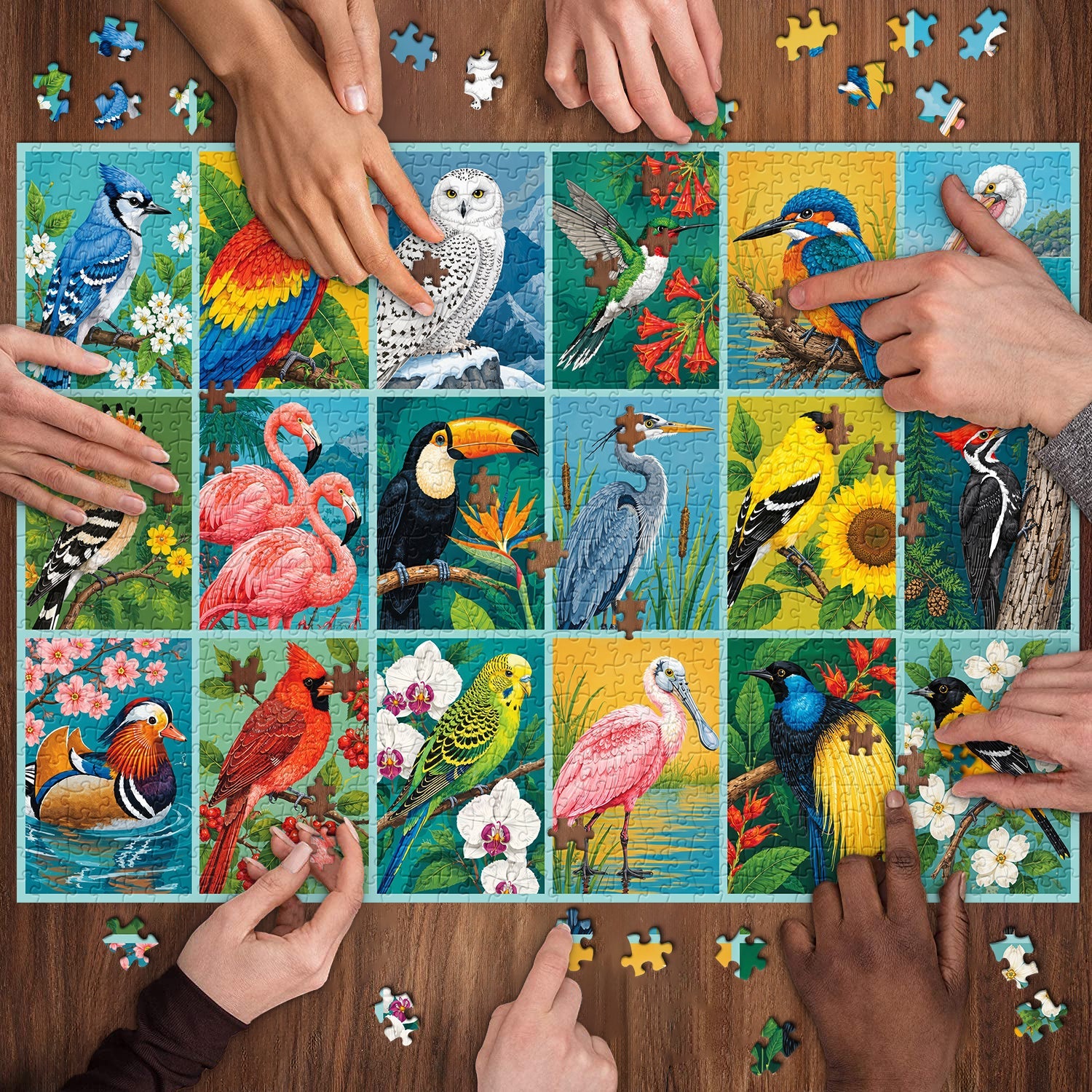 Bird Gallery Jigsaw Puzzle 1000 Piece