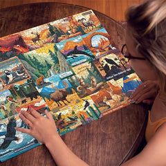 American National Parks Jigsaw Puzzle 1000 Pieces