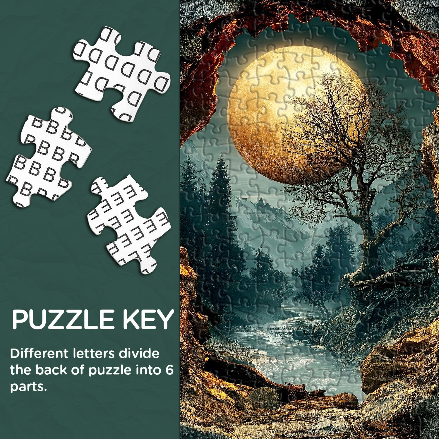 Moonlit Path Jigsaw Puzzle 1000 Pieces