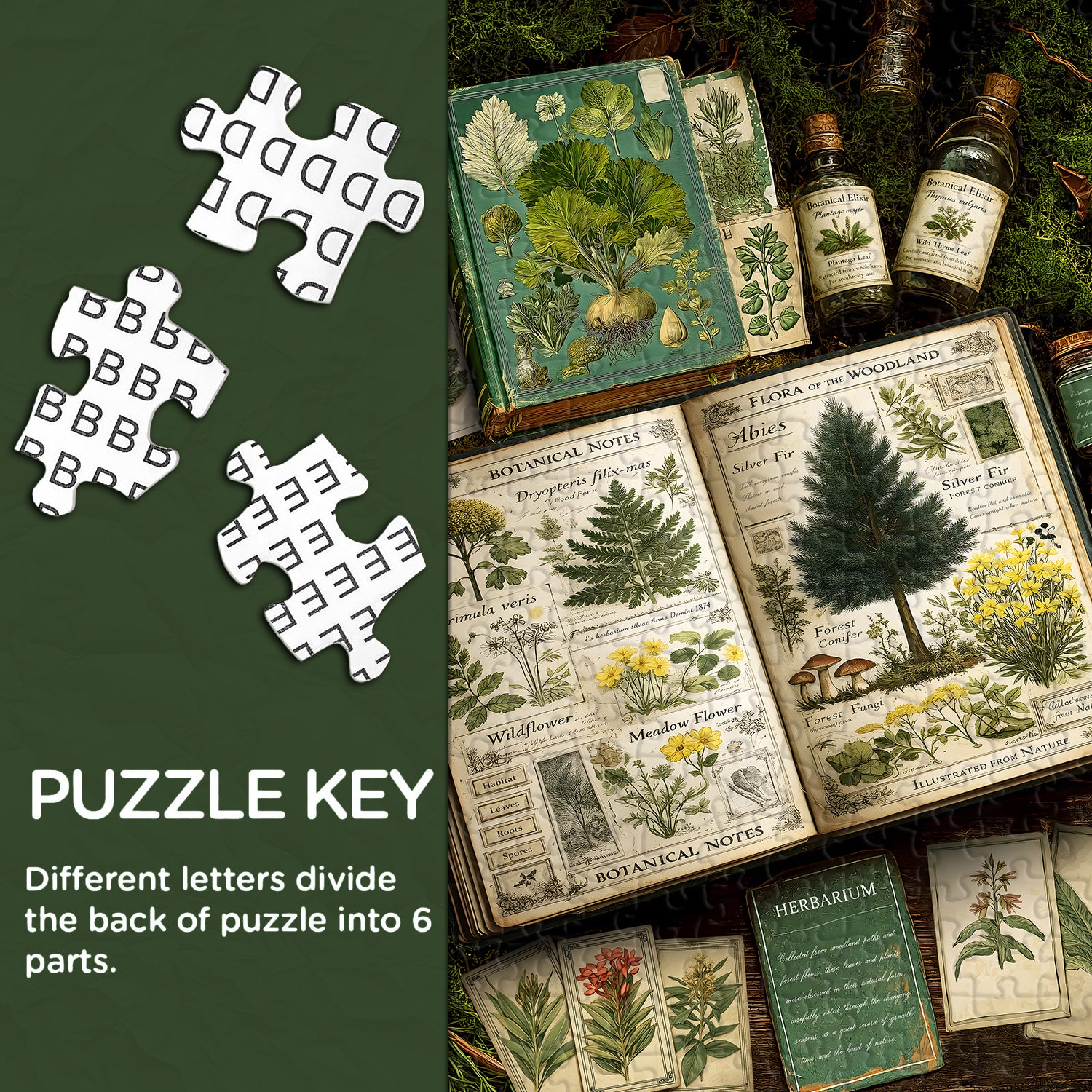 Plant Guide Jigsaw Puzzle 1000 Pieces