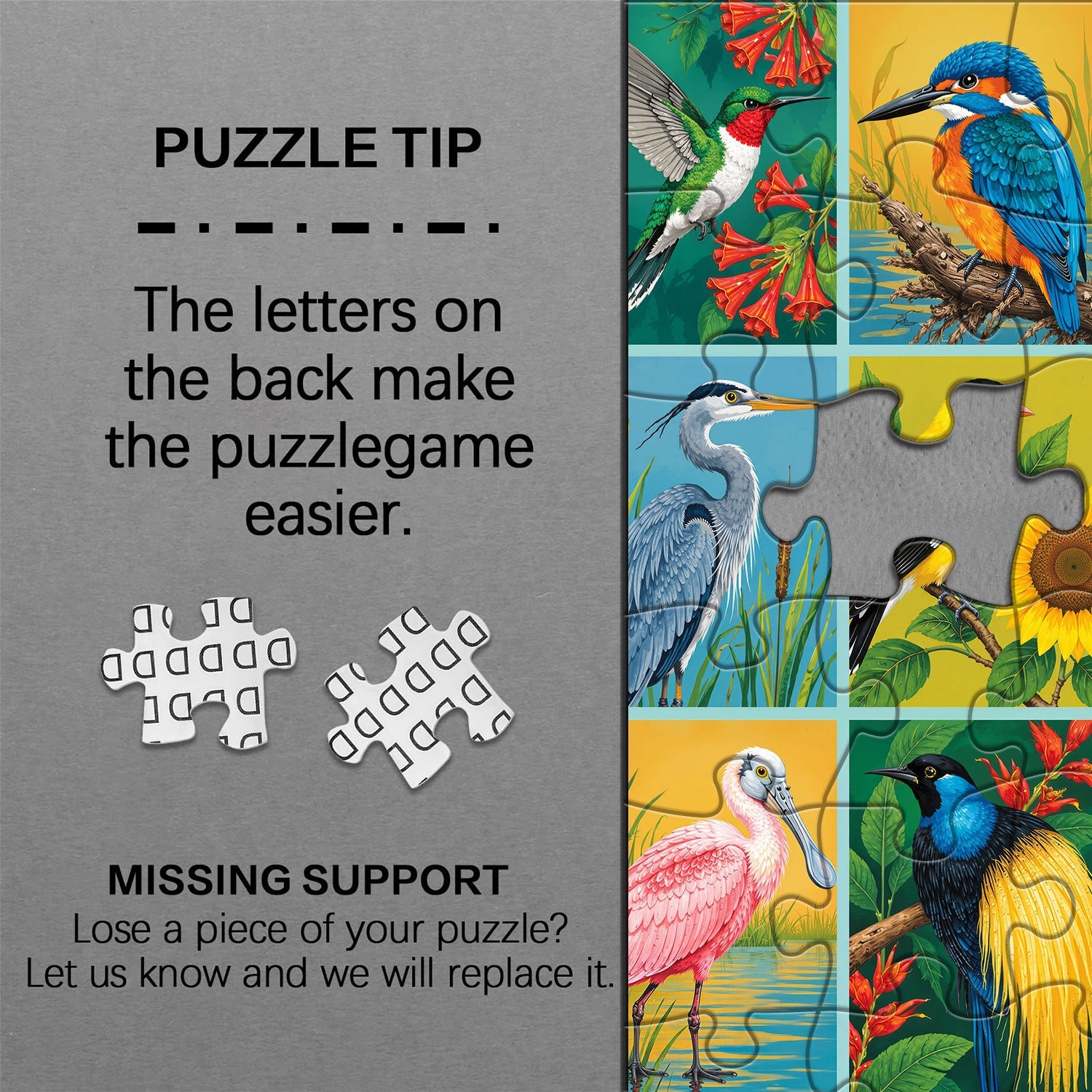 Bird Gallery Jigsaw Puzzle 1000 Piece